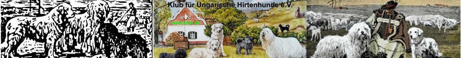 (c) Ungarische-hirtenhunde-lg03.de